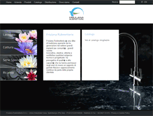 Tablet Screenshot of friulanarubinetterie.it